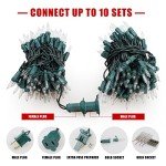 Hopolon 2-Pack 13ft 50-Count Warm White & Clear Green Christmas Lights - Connectable 120V UL Incandescent Mini Lights for Weddings, Bedrooms, Porches