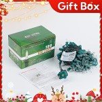 oopswow White Christmas Lights,100 Count Clear Mini Lights Incandescent Christmas Tree String Lights, Connectable for Christmas Decoration,Garland,Home,Patio, Wedding,Party,Festival (23 Feet)