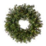National Tree Company Pre-Lit Artificial Christmas Wreath, Green, Norwood Fir, White Lights, Christmas Collection, 24 Inches