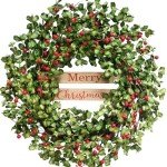 CIR OASES 22 Inch Christmas Wreaths for Front Door, Winter Spring Welcome Wreath with Red Berry Green Paper Leaves, Artificial Evergreen Natural Wreath for Indoor Outdoor Farmhouse Home Decor