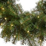 National Tree Company Pre-Lit Artificial Christmas Wreath, Green, Norwood Fir, White Lights, Christmas Collection, 24 Inches