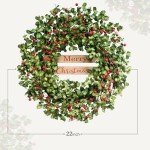 CIR OASES 22 Inch Christmas Wreaths for Front Door, Winter Spring Welcome Wreath with Red Berry Green Paper Leaves, Artificial Evergreen Natural Wreath for Indoor Outdoor Farmhouse Home Decor