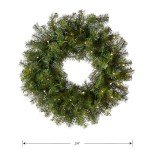 National Tree Company Pre-Lit Artificial Christmas Wreath, Green, Norwood Fir, White Lights, Christmas Collection, 24 Inches