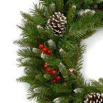National Tree Company Artificial Christmas Wreath | Flocked with Mixed Decorations | Frosted Berry-24 Inch, 24 Inch