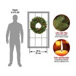 National Tree Company Artificial Christmas Wreath | Flocked with Mixed Decorations | Frosted Berry-24 Inch, 24 Inch