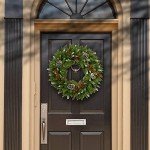 National Tree Company Artificial Christmas Wreath | Flocked with Mixed Decorations | Frosted Berry-24 Inch, 24 Inch