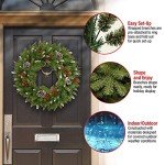 National Tree Company Artificial Christmas Wreath | Flocked with Mixed Decorations | Frosted Berry-24 Inch, 24 Inch