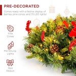 Best Choice Products 24in Pre-Lit Battery Powered Christmas Wreath Artificial Pre-Decorated Holiday Accent w/ 70 Lights, 96 PVC Tips, Ribbons, Pine Cones