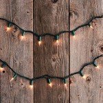 SYLVANIA Christmas Lights, Clear, 300 (2x150) Light Set, Green Wire. 64.75' Total Length, For Indoor and Outdoor use (V48150-34)