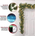 Pre-Lit Norwood Fir Christmas Garland with Lights
