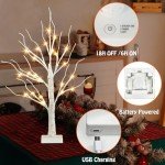 Lighted Birch Tree Set for Christmas Decor