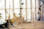 Lighted Birch Tree Set for Christmas Decor
