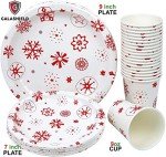 Christmas Disposable Dinnerware Set for 20 Guests