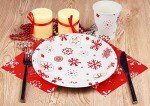 Christmas Disposable Dinnerware Set for 20 Guests