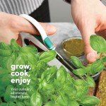 Herb Indoor Garden Kit for Winter Holidays