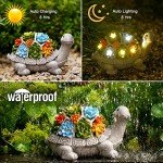 Solar Turtle Garden Statue with Succulent & Lights