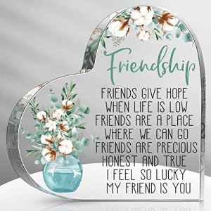 Spiareal Gift for Friend Friendship Gifts for Women Friend Friendship Birthday Gifts Cheer up Gift Acrylic Heart Butterfly Keepsake Paperweight for Home Office Table Shelf(Classic)