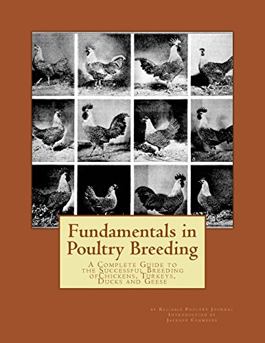 Poultry Breeding Essentials: Chickens, Ducks, Geese Guide
