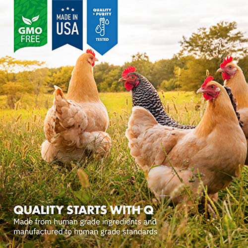Equa Holistics HealthyGut Probiotics - All-Natural Chicken Supplement