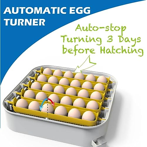 30 Egg Incubator with Humidity Display, Candler and Turner