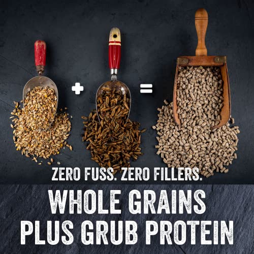 Organic Layer Pellets - High-Quality Chicken Feed