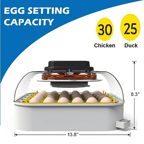30 Egg Incubator with Humidity Display, Candler and Turner