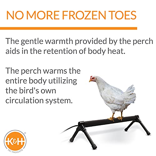 K&H Thermo-Chicken Perch - Warming Chicken Heater
