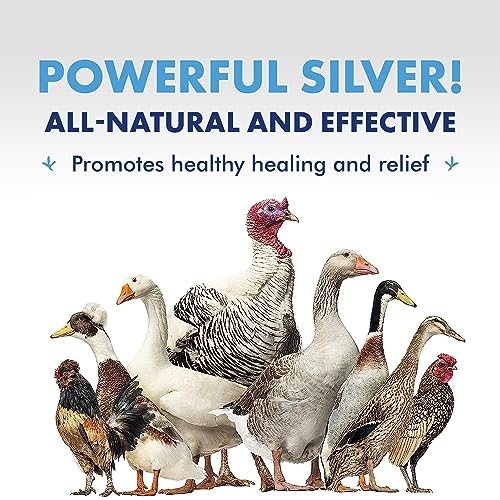 12 oz PetSilver Wound Spray for Chickens