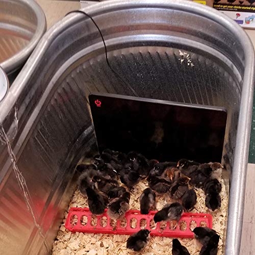 Cozy Safe Chicken Coop Heater - 200 Watts