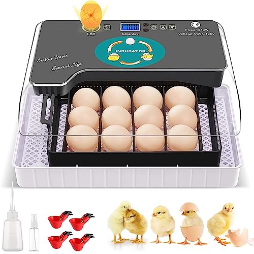 Fully Automatic Egg Incubator for Hatching Poultry