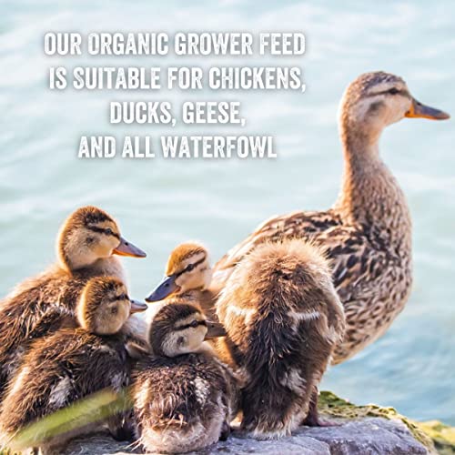 Organic Chicken and Duck Feed - 25-lbs
