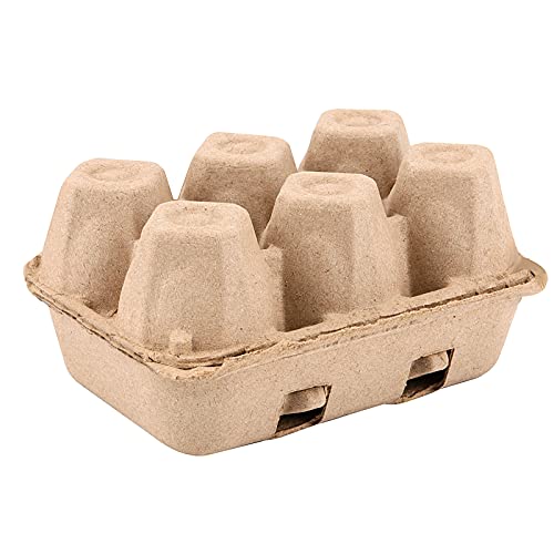 40 Pack Egg Cartons, 6 Cell Chicken Egg Organizer