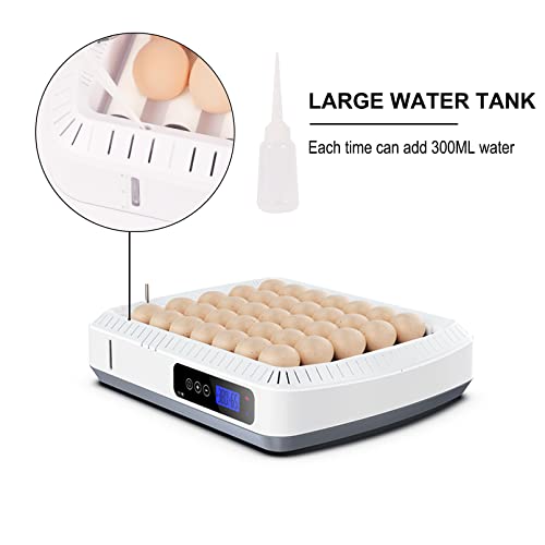 35-56 Egg Automatic Incubator for Chickens, Ducks, Quails