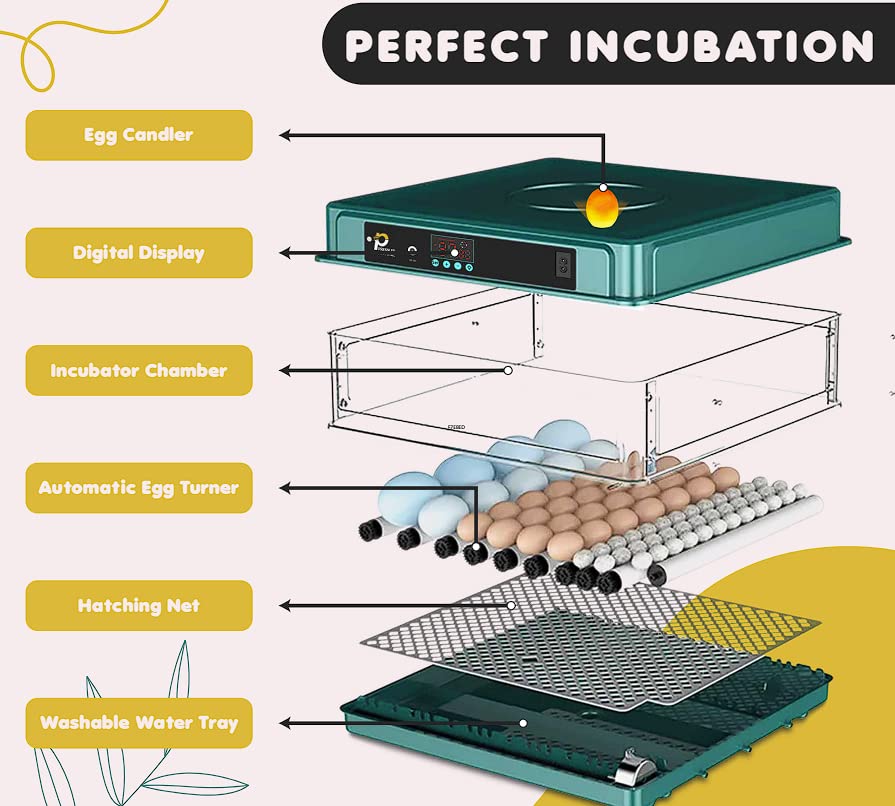 Industrial Egg Incubator, Automatic 48 Unit+Digital Display