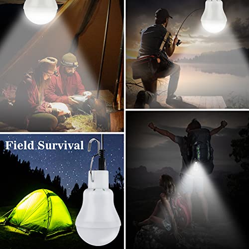 Indoor-Outdoor Solar Light Bulbs for Chicken Coop, Tent