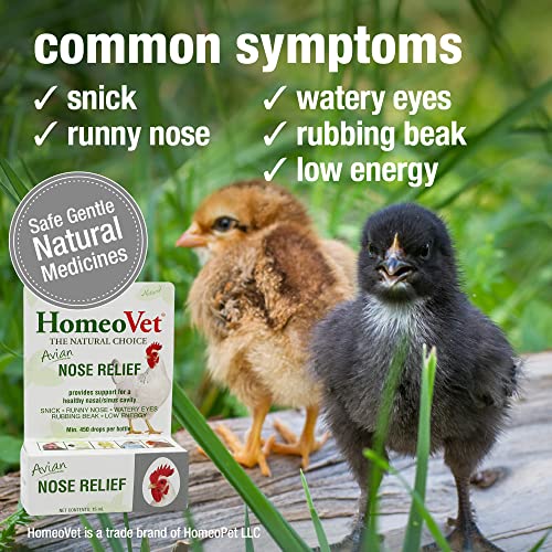Nose Relief for Chickens and Pet Birds