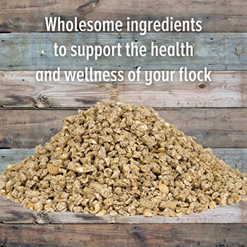 Organic Layer Crumbles - Sustainable Protein Feed