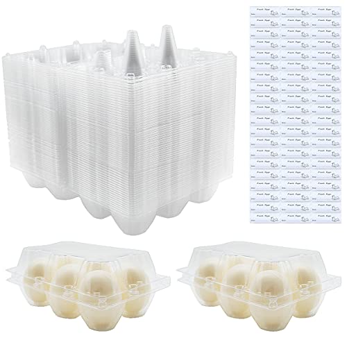 Clear Eco-friendly Plastic Egg Cartons - 60 Packs
