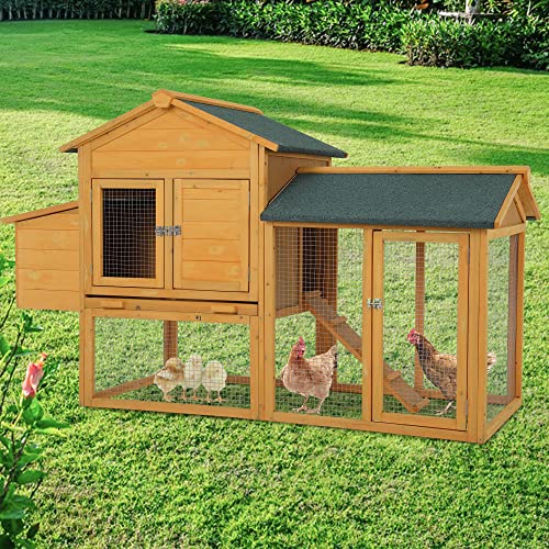 66" Wood Chicken Coop, Indoor/Outdoor, 2-4 Chickens