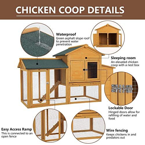 66" Wood Chicken Coop, Indoor/Outdoor, 2-4 Chickens