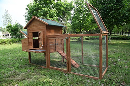 ECOLINEAR 80'' Outdoor Wooden Chicken Coop