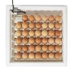 Innovative 3200 Egg Turner
