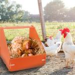 Durable Chicken Nesting Boxes for Hens & Poultry