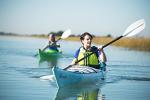 Perception Expression Kayak: Best for Recreation and Touring