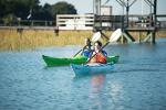 Perception Expression Kayak: Best for Recreation and Touring
