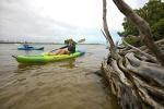 Ocean Kayak Malibu Envy 11.5 (11.5 ft)