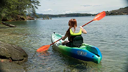 Perception Kayak Hi-Fi PFD or Life Vest
