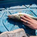 Lifetime Yukon Angler 138 inch Sit-on-Top Fishing Kayak, Azure Fusion (91344)