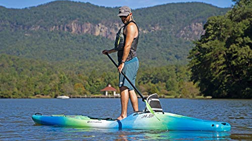 Perception Kayak Hi Life for Recreation
