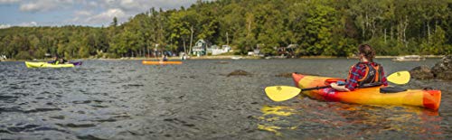 Old Town Canoes & Kayaks Dirigo 106 Recreational Kayak, Black Cherry, 6 Inches, Length 10 ft